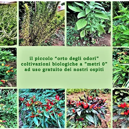 Aparthotel Sporting Club Praia a Mare