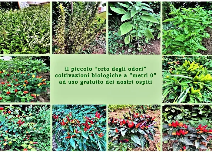 Lägenhetshotell Sporting Club Praia a Mare